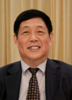 论坛组委会副主席 王树平