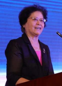 论坛组委会主席 王淑敏